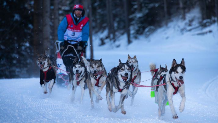 FRANCE – LES ALPES, Ambiance des cimes