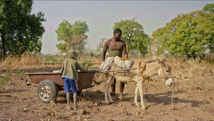 BURKINA FASO – Boromo